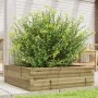 Jardinera de madera de pino impregnada 80x80x23 cm von , Töpfe und Pflanzgefäße - Ref: Foro24-847202, Preis: 69,66 €, Rabatt: %