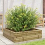 Jardinera de madera de pino impregnada 80x80x23 cm von , Töpfe und Pflanzgefäße - Ref: Foro24-847202, Preis: 70,39 €, Rabatt: %
