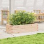 Massive Holzblumenkasten aus Kiefer 90x40x23 cm von , Töpfe und Pflanzgefäße - Ref: Foro24-847223, Preis: 67,92 €, Rabatt: %