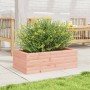 Massive Douglas-Holz-Pflanzkasten 70x40x23 cm von , Töpfe und Pflanzgefäße - Ref: Foro24-847221, Preis: 50,40 €, Rabatt: %
