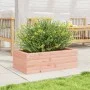 Massive Douglas-Holz-Pflanzkasten 70x40x23 cm von , Töpfe und Pflanzgefäße - Ref: Foro24-847221, Preis: 49,86 €, Rabatt: %