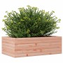 Massive Douglas-Holz-Pflanzkasten 70x40x23 cm von , Töpfe und Pflanzgefäße - Ref: Foro24-847221, Preis: 50,40 €, Rabatt: %