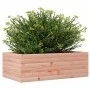 Massive Douglas-Holz-Pflanzkasten 70x40x23 cm von , Töpfe und Pflanzgefäße - Ref: Foro24-847221, Preis: 49,86 €, Rabatt: %