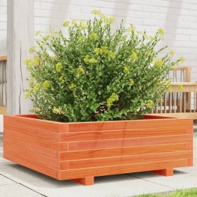 Massive Holzblumenkasten aus braun gewachster Kiefer 70x70x26,5 cm. von , Töpfe und Pflanzgefäße - Ref: Foro24-847305, Preis:...