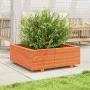 Jardinera de madera maciza de pino marrón cera 70x70x26,5 cm de , Maceteros y jardineras - Ref: Foro24-847305, Precio: 78,86 ...