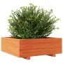 Jardinera de madera maciza de pino marrón cera 70x70x26,5 cm de , Maceteros y jardineras - Ref: Foro24-847305, Precio: 78,86 ...