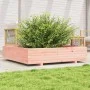 Massive Douglasie-Holz-Pflanzkasten 110x110x26,5 cm von , Töpfe und Pflanzgefäße - Ref: Foro24-847326, Preis: 126,30 €, Rabat...