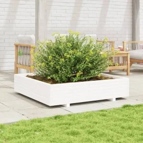 Massive weiße Kiefernholz-Pflanzschale 110x110x26,5 cm von , Töpfe und Pflanzgefäße - Ref: Foro24-847324, Preis: 142,24 €, Ra...