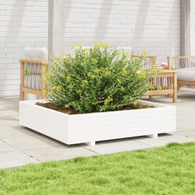 Massive weiße Kiefernholz-Pflanzschale 110x110x26,5 cm von , Töpfe und Pflanzgefäße - Ref: Foro24-847324, Preis: 143,74 €, Ra...