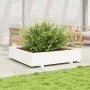 Jardinera de madera maciza de pino blanca 110x110x26,5 cm by , Pots and planters - Ref: Foro24-847324, Price: 128,03 €, Disco...