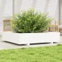 Massive weiße Kiefernholz-Pflanzschale 110x110x26,5 cm von , Töpfe und Pflanzgefäße - Ref: Foro24-847324, Preis: 128,03 €, Ra...