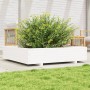 Massive weiße Kiefernholz-Pflanzschale 110x110x26,5 cm von , Töpfe und Pflanzgefäße - Ref: Foro24-847324, Preis: 143,74 €, Ra...