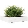 Jardinera de madera maciza de pino blanca 110x110x26,5 cm by , Pots and planters - Ref: Foro24-847324, Price: 128,03 €, Disco...