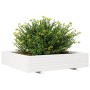 Massive weiße Kiefernholz-Pflanzschale 110x110x26,5 cm von , Töpfe und Pflanzgefäße - Ref: Foro24-847324, Preis: 143,74 €, Ra...