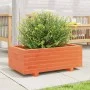 Jardinera de madera maciza de pino marrón cera 70x40x26,5 cm de , Maceteros y jardineras - Ref: Foro24-847330, Precio: 68,76 ...