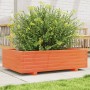 Massive Holzblumenkasten aus braun gewachster Kiefer 90x60x26,5 cm. von , Töpfe und Pflanzgefäße - Ref: Foro24-847345, Preis:...