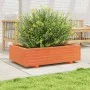 Massive Holzblumenkasten aus braun gewachster Kiefer 90x60x26,5 cm. von , Töpfe und Pflanzgefäße - Ref: Foro24-847345, Preis:...