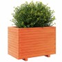 Jardinera madera maciza de pino marrón cera 70x40x49,5 cm by , Pots and planters - Ref: Foro24-847370, Price: 142,08 €, Disco...