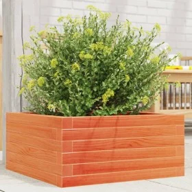 Jardinera de madera maciza de pino marrón cera 50x50x23 cm de , Maceteros y jardineras - Ref: Foro24-847185, Precio: 63,43 €,...