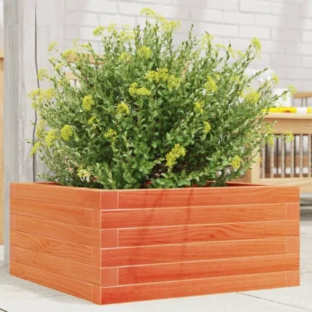 Jardinera de madera maciza de pino marrón cera 50x50x23 cm de , Maceteros y jardineras - Ref: Foro24-847185, Precio: 63,43 €,...