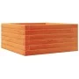 Jardinera de madera maciza de pino marrón cera 50x50x23 cm de , Maceteros y jardineras - Ref: Foro24-847185, Precio: 63,43 €,...