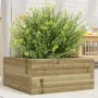 Pflanzgefäß aus imprägniertem Kiefernholz, 50 x 50 x 23 cm von , Töpfe und Pflanzgefäße - Ref: Foro24-847187, Preis: 57,44 €,...