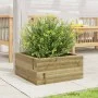 Impregnated pine wood planter 50x50x23 cm by , Pots and planters - Ref: Foro24-847187, Price: 57,44 €, Discount: %