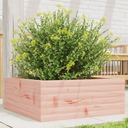 Solid Douglas Fir Wood Planter 60x60x23 cm by , Pots and planters - Ref: Foro24-847191, Price: 65,78 €, Discount: %