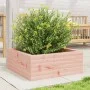 Solid Douglas Fir Wood Planter 60x60x23 cm by , Pots and planters - Ref: Foro24-847191, Price: 65,78 €, Discount: %