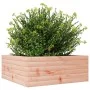 Solid Douglas Fir Wood Planter 60x60x23 cm by , Pots and planters - Ref: Foro24-847191, Price: 65,78 €, Discount: %