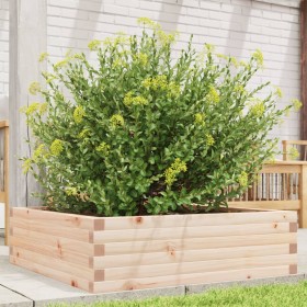 Pflanzgefäß aus massivem Kiefernholz, 80 x 80 x 23 cm von , Töpfe und Pflanzgefäße - Ref: Foro24-847198, Preis: 65,22 €, Raba...
