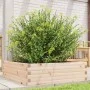 Solid pine wood planter 80x80x23 cm by , Pots and planters - Ref: Foro24-847198, Price: 64,54 €, Discount: %