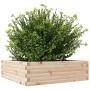Solid pine wood planter 80x80x23 cm by , Pots and planters - Ref: Foro24-847198, Price: 64,54 €, Discount: %
