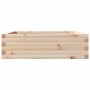 Solid pine wood planter 80x80x23 cm by , Pots and planters - Ref: Foro24-847198, Price: 65,17 €, Discount: %
