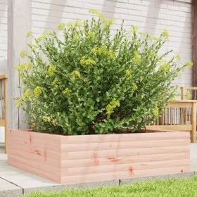 Douglas solid wood planter 80x80x23 cm by , Pots and planters - Ref: Foro24-847201, Price: 82,90 €, Discount: %