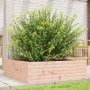 Douglas solid wood planter 80x80x23 cm by , Pots and planters - Ref: Foro24-847201, Price: 82,90 €, Discount: %
