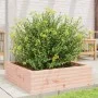 Douglas Massivholz-Pflanzgefäß 80x80x23 cm von , Töpfe und Pflanzgefäße - Ref: Foro24-847201, Preis: 82,90 €, Rabatt: %