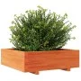 Solid wax brown pine wood planter 80x80x26.5 cm by , Pots and planters - Ref: Foro24-847310, Price: 89,84 €, Discount: %
