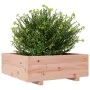 Douglas Massivholz-Pflanzgefäß 70x70x26,5 cm von , Töpfe und Pflanzgefäße - Ref: Foro24-847306, Preis: 94,63 €, Rabatt: %