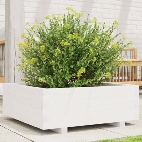 Pflanzgefäß aus massivem Weißkiefernholz, 70 x 70 x 26,5 cm von , Töpfe und Pflanzgefäße - Ref: Foro24-847304, Preis: 87,59 €...