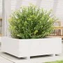 Pflanzgefäß aus massivem Weißkiefernholz, 70 x 70 x 26,5 cm von , Töpfe und Pflanzgefäße - Ref: Foro24-847304, Preis: 87,59 €...