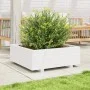 Pflanzgefäß aus massivem Weißkiefernholz, 70 x 70 x 26,5 cm von , Töpfe und Pflanzgefäße - Ref: Foro24-847304, Preis: 87,59 €...