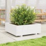 Pflanzgefäß aus massivem Weißkiefernholz, 70 x 70 x 26,5 cm von , Töpfe und Pflanzgefäße - Ref: Foro24-847304, Preis: 88,50 €...