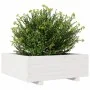 Pflanzgefäß aus massivem Weißkiefernholz, 70 x 70 x 26,5 cm von , Töpfe und Pflanzgefäße - Ref: Foro24-847304, Preis: 87,59 €...
