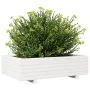 Pflanzgefäß aus massivem Weißkiefernholz, 90 x 40 x 26,5 cm von , Töpfe und Pflanzgefäße - Ref: Foro24-847344, Preis: 95,94 €...
