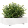 Pflanzgefäß aus massivem Weißkiefernholz, 90 x 40 x 26,5 cm von , Töpfe und Pflanzgefäße - Ref: Foro24-847344, Preis: 96,95 €...