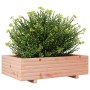 Jardinera de madera maciza Douglas 80x80x26,5 cm de , Maceteros y jardineras - Ref: Foro24-847346, Precio: 86,20 €, Descuento: %