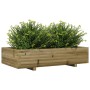 Pflanzgefäß aus imprägniertem Kiefernholz, 110 x 60 x 26,5 cm von , Töpfe und Pflanzgefäße - Ref: Foro24-847352, Preis: 97,14...