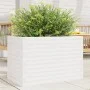 Massive weiße Kiefernholz-Pflanzschale 70x40x46 cm von , Töpfe und Pflanzgefäße - Ref: Foro24-3282440, Preis: 129,92 €, Rabat...