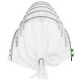 Mesh-Tunnel, 2 Stück, Glasfaser und PP, 1,5x5 m. von , Gewächshäuser - Ref: Foro24-3281495, Preis: 70,40 €, Rabatt: %
